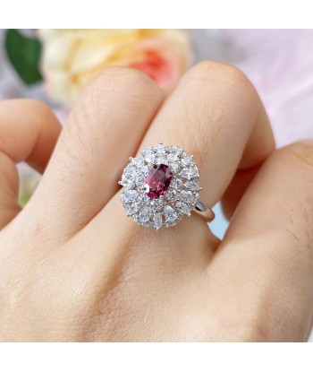 925 Sterling Silver Natural Pyrope Gemstone Cubic Zircon Jewelry Sets for Women la colonne vertébrale