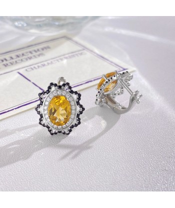 S925 Silver Natural Gemstone Amethyst Peridot Garnet Topaz Citrine Stud Earrings for Women outlet