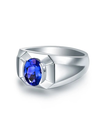 14K White Gold Blue Tanzanite Mens Wedding Ring Comparez et commandez 