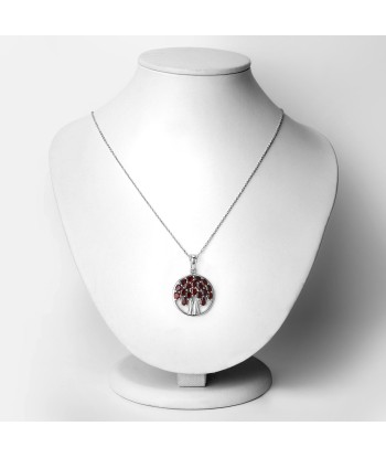 3.70 Carat Genuine Garnet .925 Sterling Silver Pendant En savoir plus